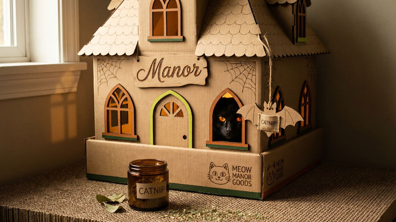 The Haunted Manor