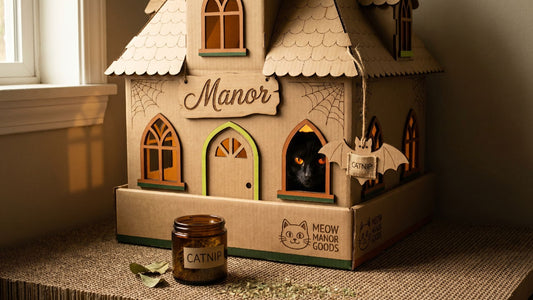 The Haunted Manor