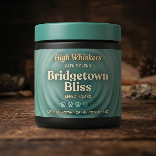 Bridgetown Bliss