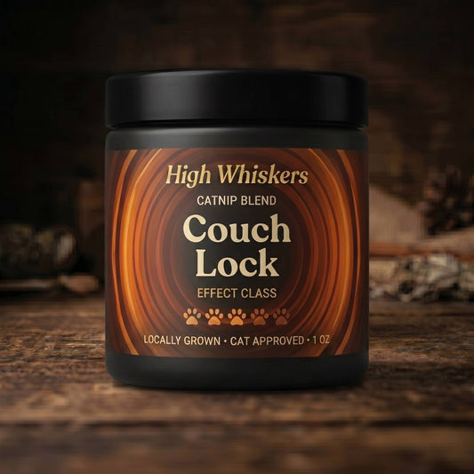 Couch Lock
