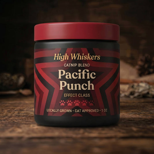 Pacific Punch